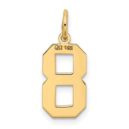 14k Yellow Gold 14k Medium Satin Number 8 Charm