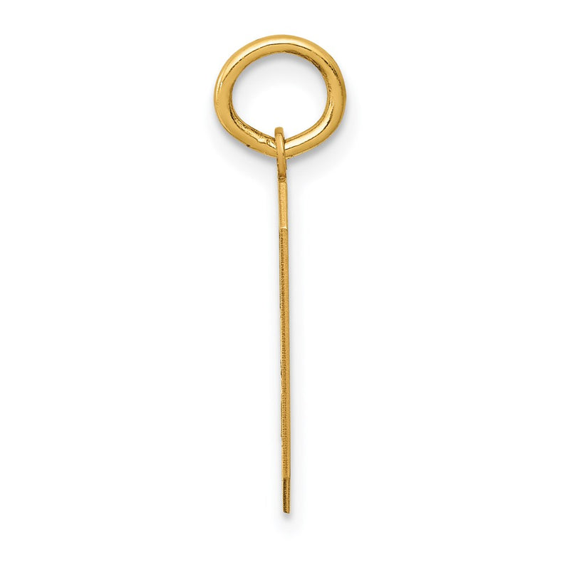 14k Yellow Gold 14k Medium Satin Number 9 Charm