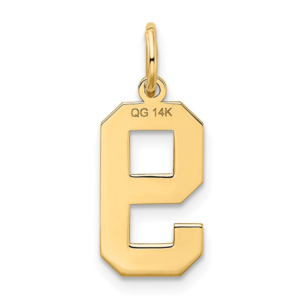 14k Yellow Gold 14k Medium Satin Number 9 Charm