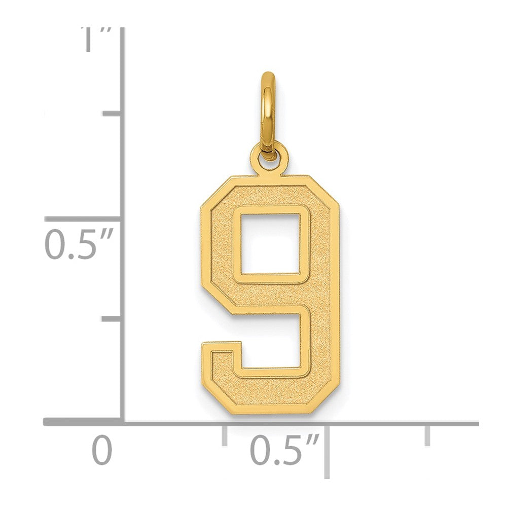14k Yellow Gold 14k Medium Satin Number 9 Charm