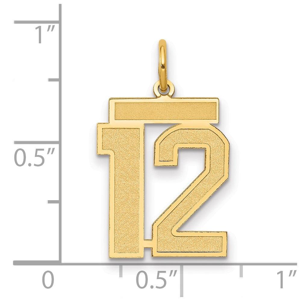 14k Yellow Gold 14k Medium Satin Number 12 Charm