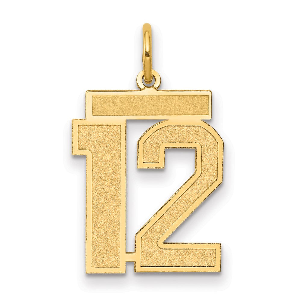 10K Yellow Gold Medium Satin Number 12 Charm