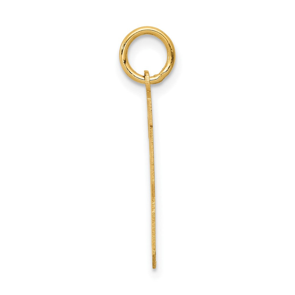 14k Yellow Gold 14k Medium Satin Number 13 Charm