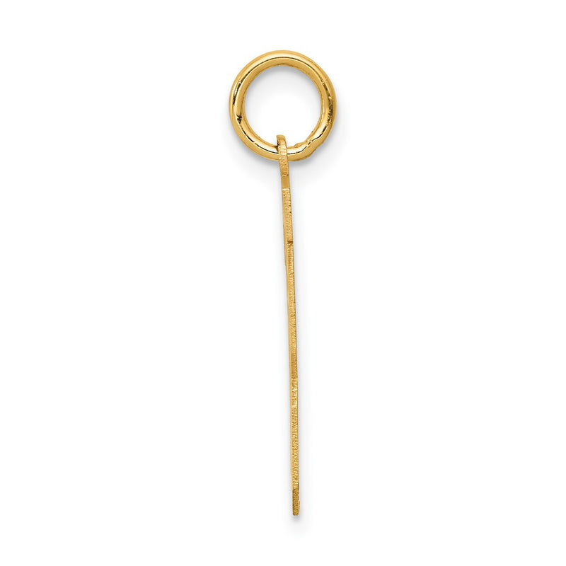 14k Yellow Gold 14k Medium Satin Number 13 Charm