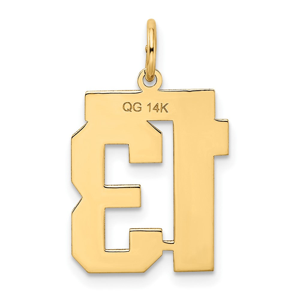 14k Yellow Gold 14k Medium Satin Number 13 Charm