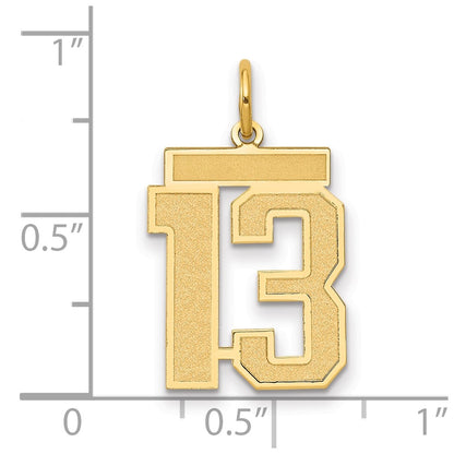 14k Yellow Gold 14k Medium Satin Number 13 Charm