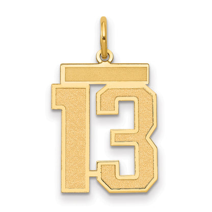 10K Yellow Gold Medium Satin Number 13 Charm