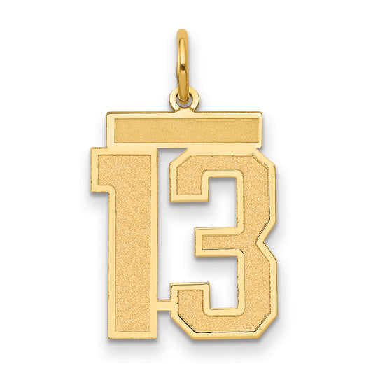 10K Yellow Gold Medium Satin Number 13 Charm