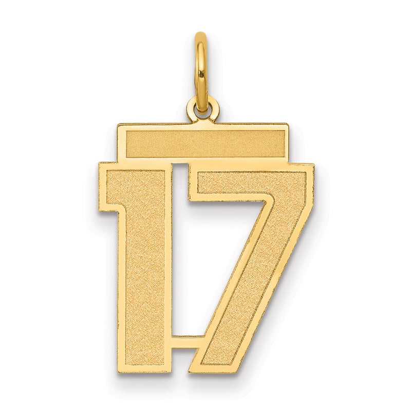 14K Yellow Gold Medium Satin Number 17 Charm