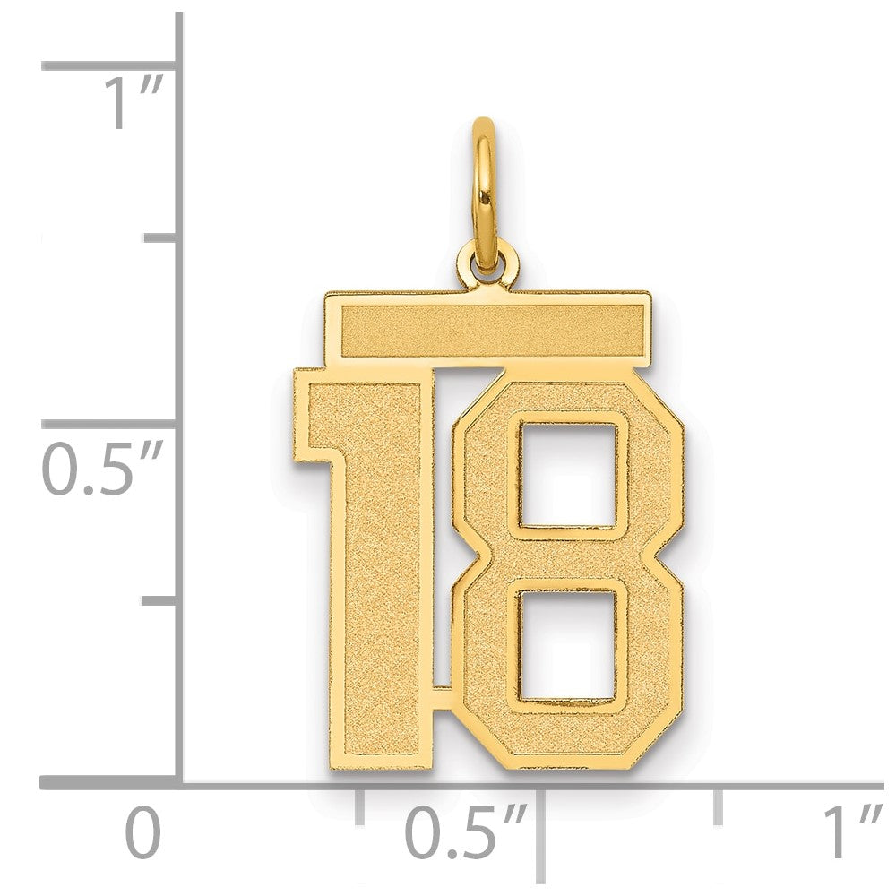 14k Yellow Gold 14k Medium Satin Number 18 Charm