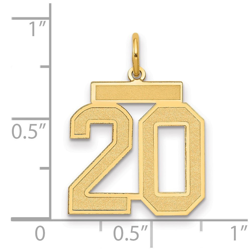 14k Yellow Gold 14k Medium Satin Number 20 Charm