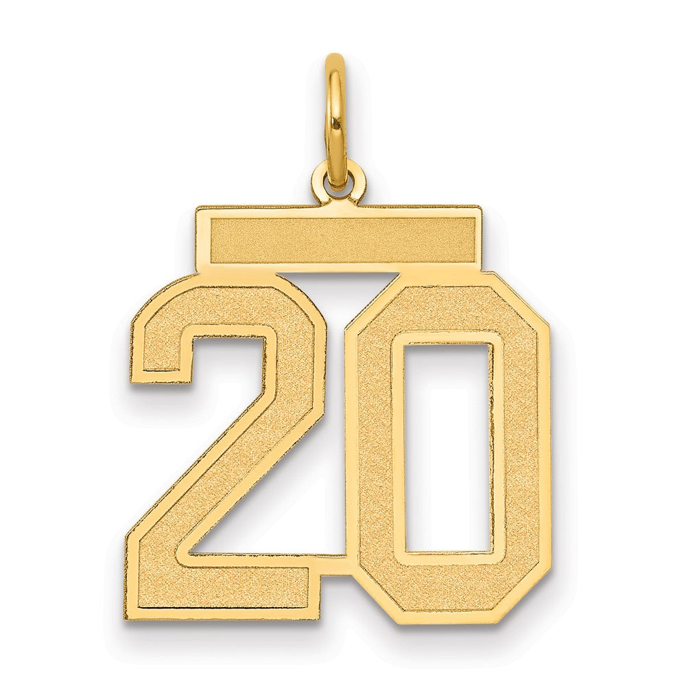 14k Yellow Gold 14k Medium Satin Number 20 Charm
