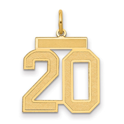 14k Yellow Gold 14k Medium Satin Number 20 Charm