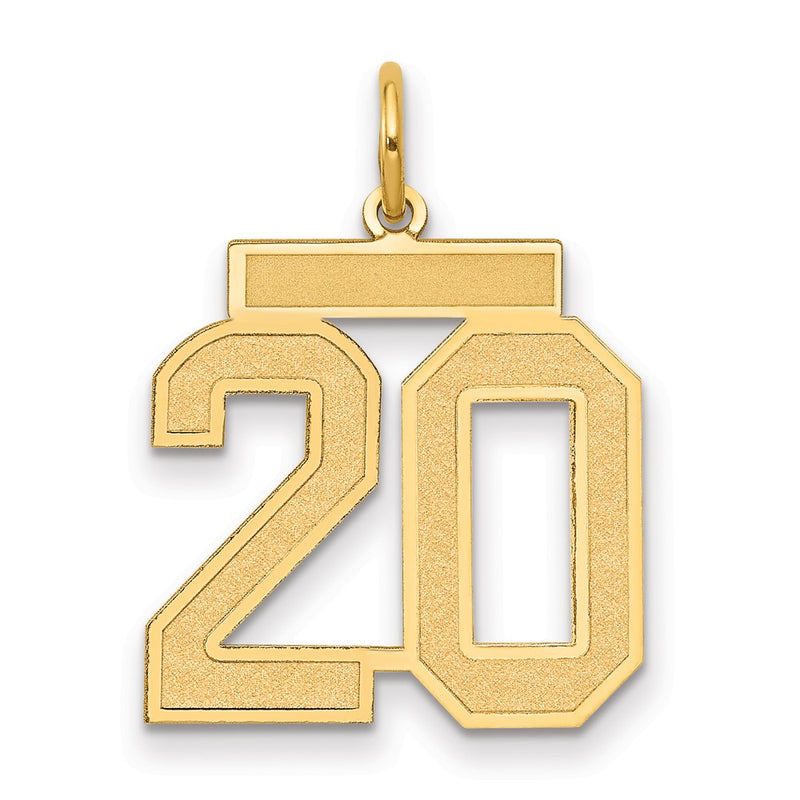 14k Yellow Gold 14k Medium Satin Number 20 Charm