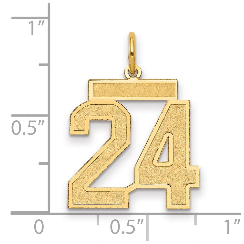 14k Yellow Gold 14k Medium Satin Number 24 Charm