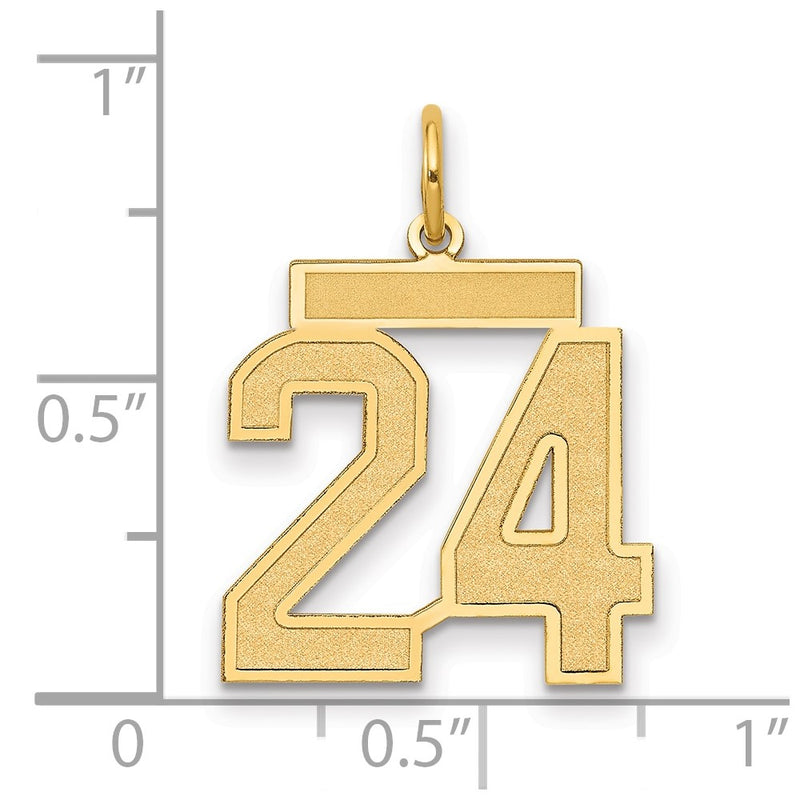14k Yellow Gold 14k Medium Satin Number 24 Charm