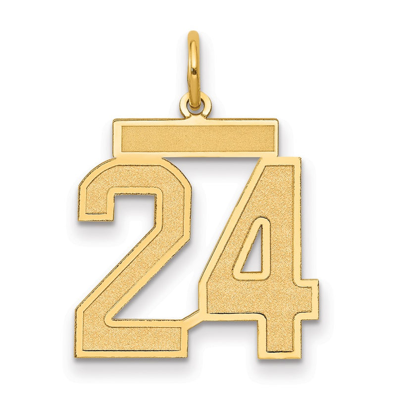 14k Yellow Gold 14k Medium Satin Number 24 Charm