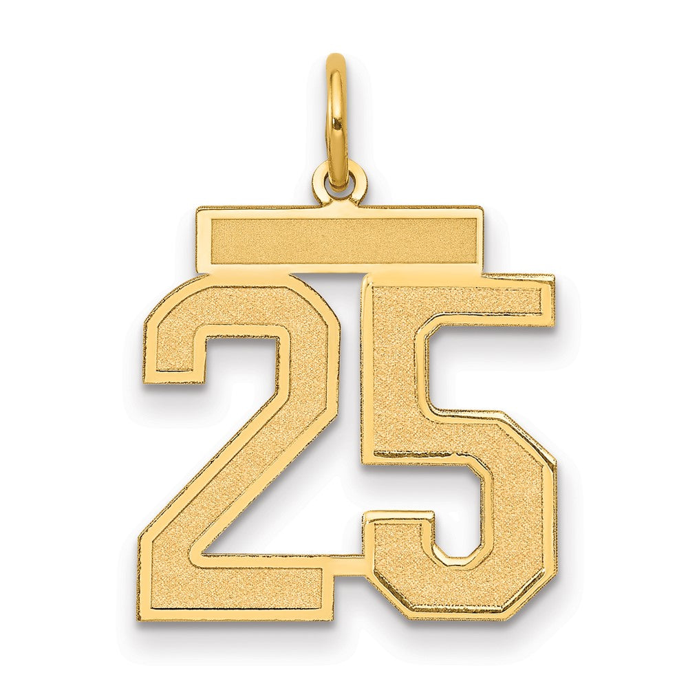 10K Yellow Gold Medium Satin Number 25 Charm