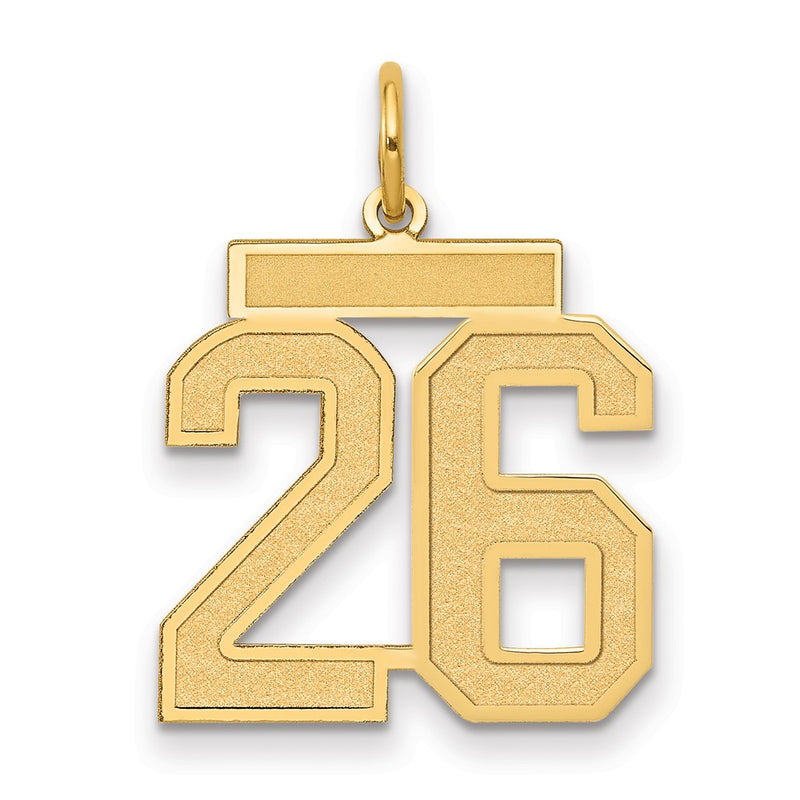 14k Yellow Gold 14k Medium Satin Number 26 Charm