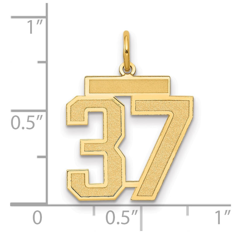 14K Yellow Gold Medium Satin Number 37 Charm