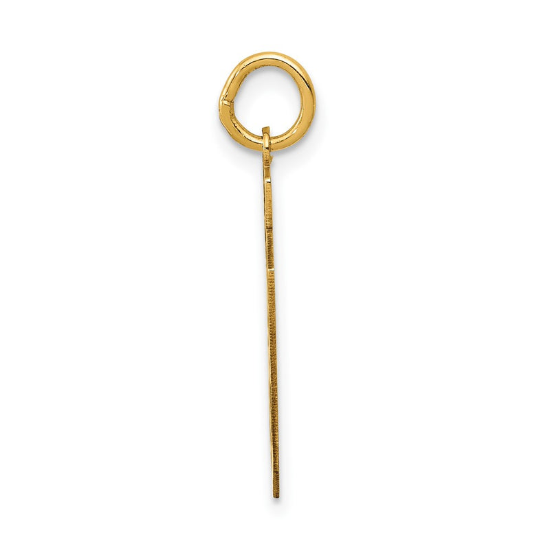 14K Yellow Gold Medium Satin Number 39 Charm