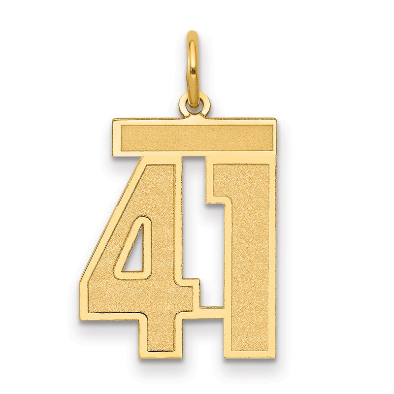 14K Yellow Gold Medium Satin Number 41 Charm