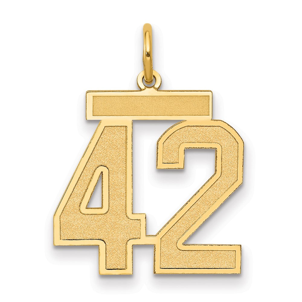 14K Yellow Gold Medium Satin Number 42 Charm