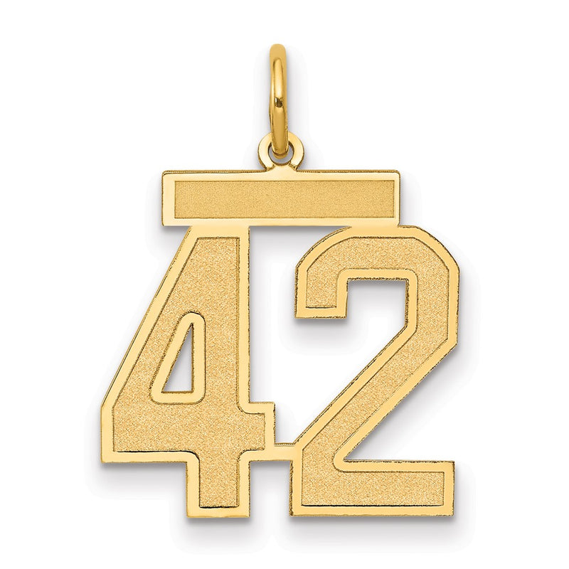 14K Yellow Gold Medium Satin Number 42 Charm