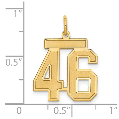 14k Yellow Gold 14k Medium Satin Number 46 Charm