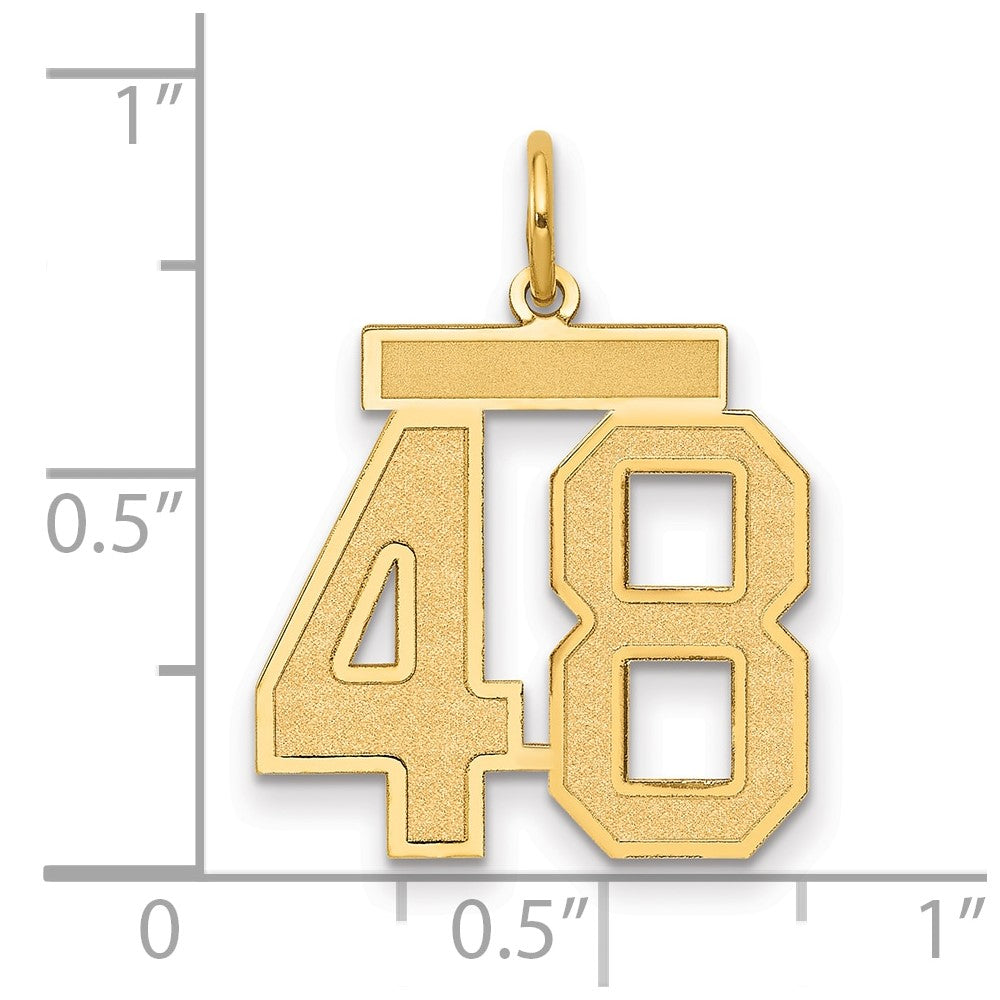 14K Yellow Gold Medium Satin Number 48 Charm