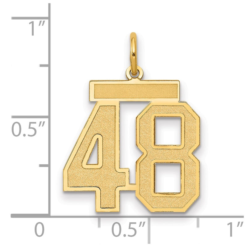 14K Yellow Gold Medium Satin Number 48 Charm