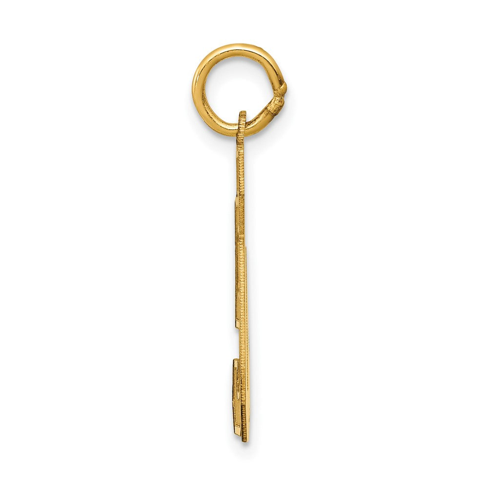 14K Yellow Gold Medium Satin Number 50 Charm