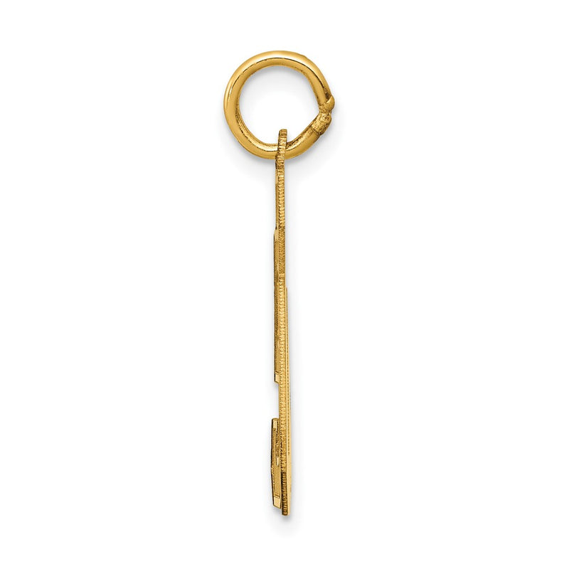 14K Yellow Gold Medium Satin Number 50 Charm