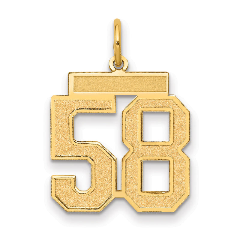 14K Yellow Gold Medium Satin Number 58 Charm