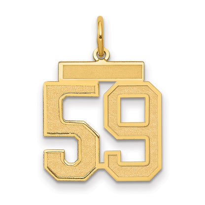 14K Yellow Gold Medium Satin Number 59 Charm