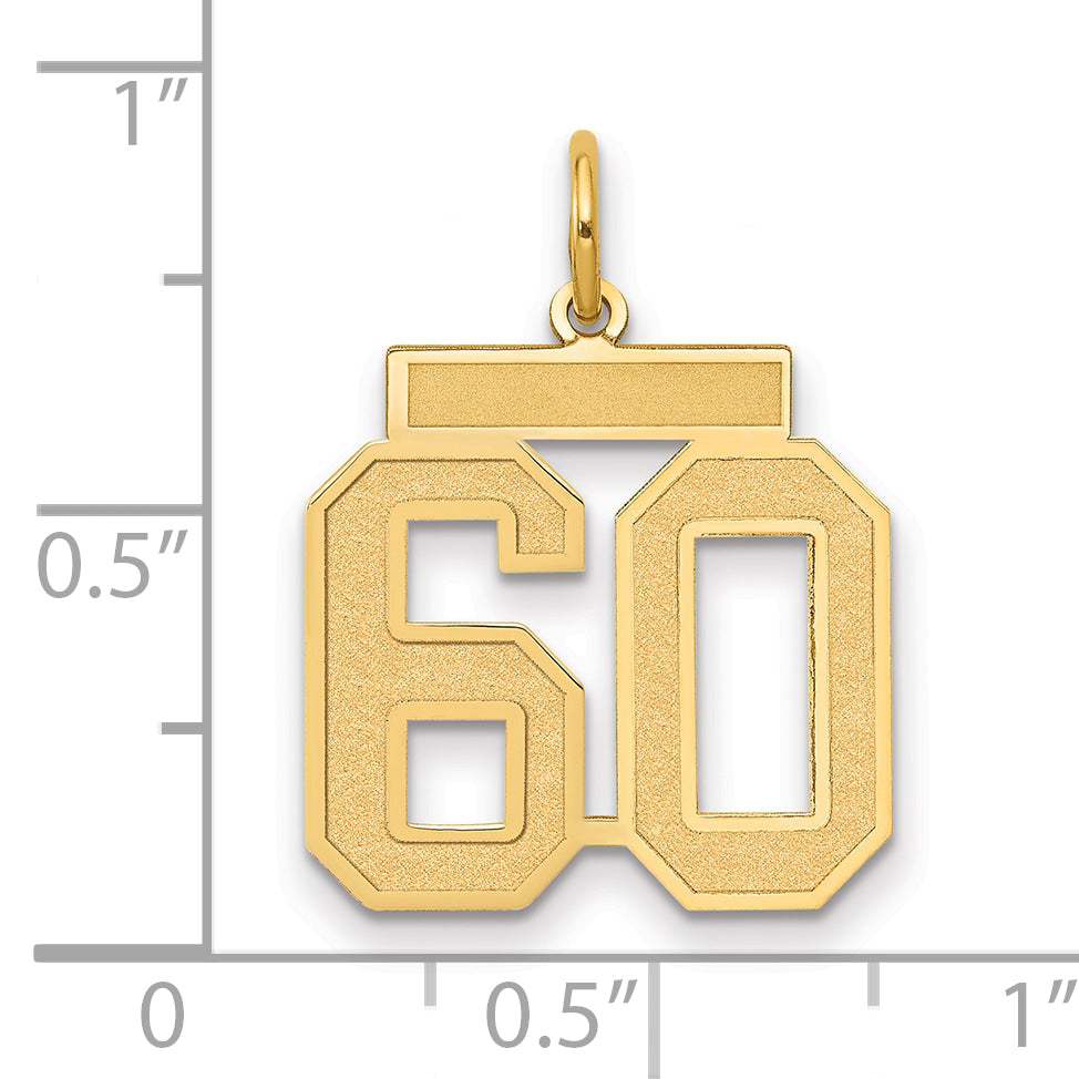10K Yellow Gold Medium Satin Number 60 Charm
