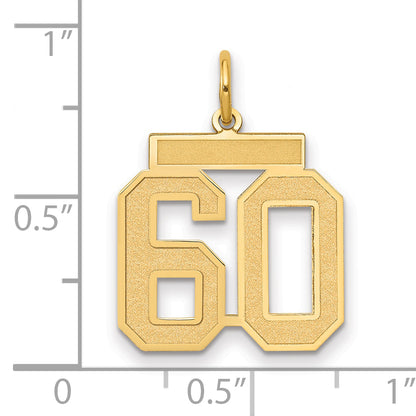 10K Yellow Gold Medium Satin Number 60 Charm