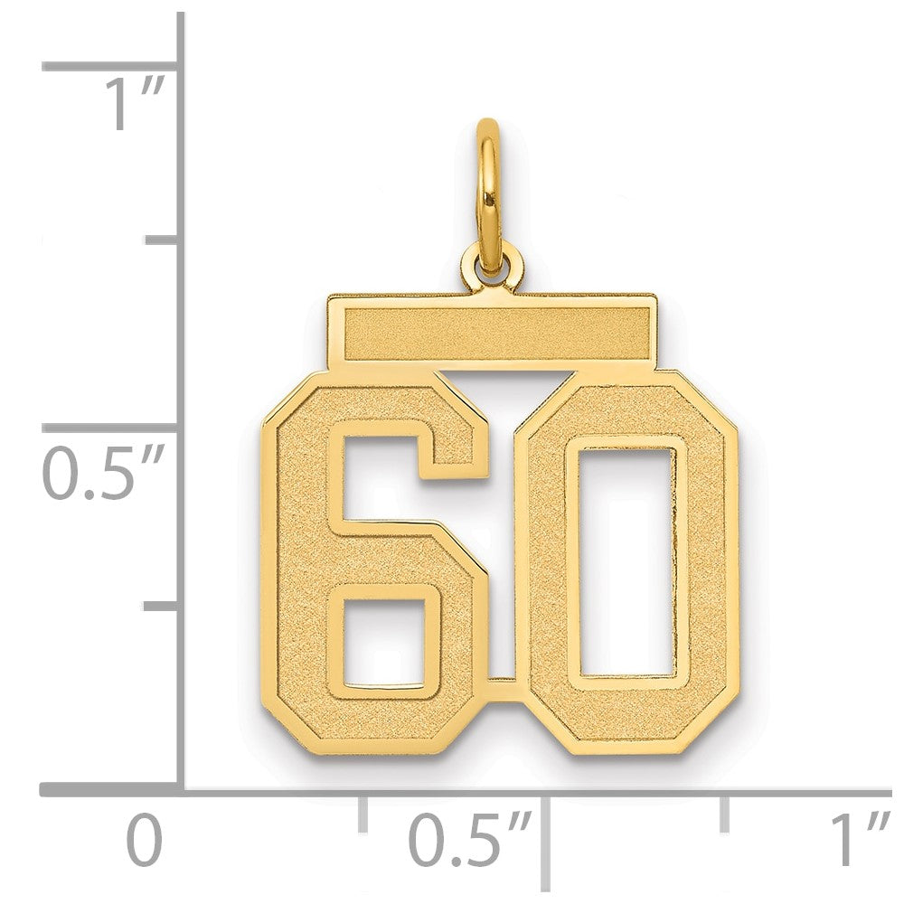 14K Yellow Gold Medium Satin Number 60 Charm