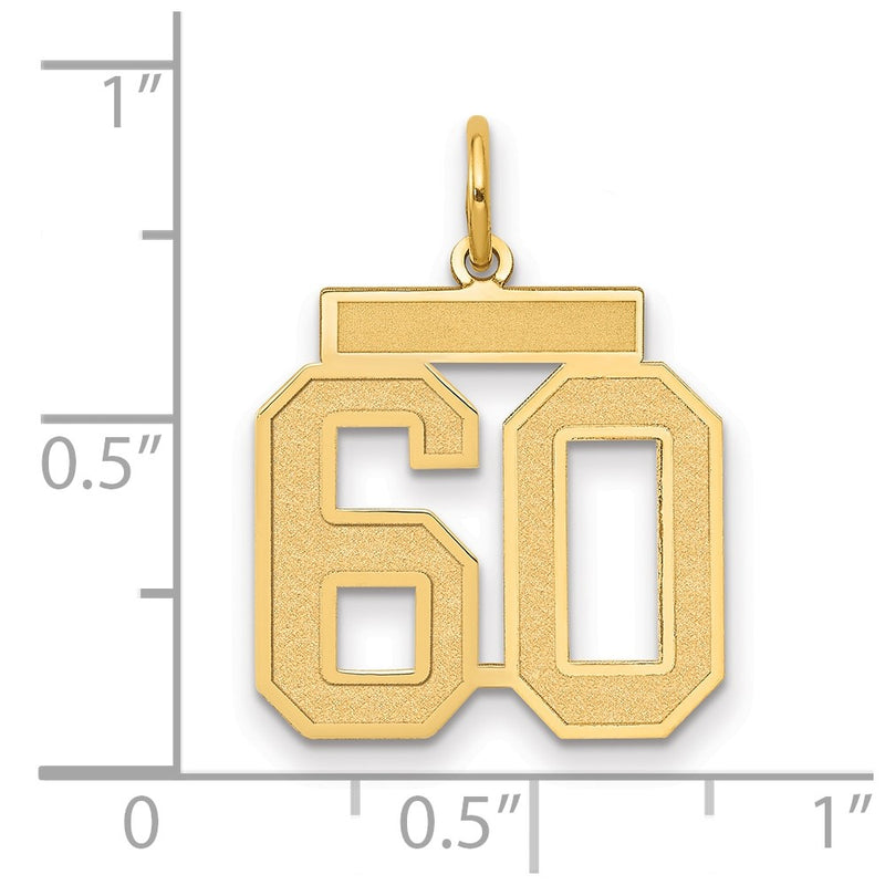 14K Yellow Gold Medium Satin Number 60 Charm