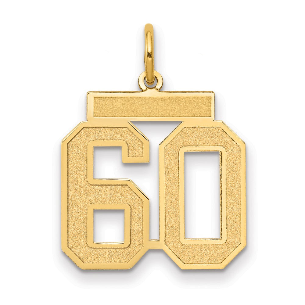 10K Yellow Gold Medium Satin Number 66 Charm