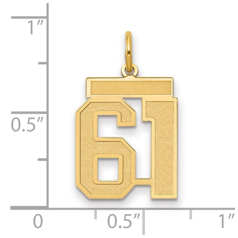14k Yellow Gold 14k Medium Satin Number 61 Charm