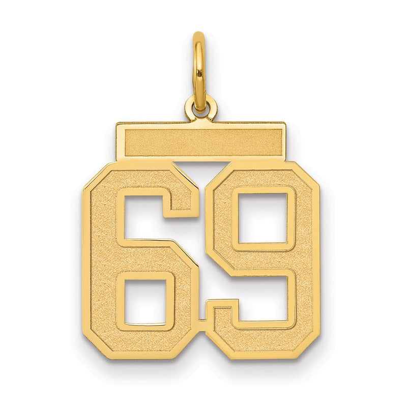 14K Yellow Gold Medium Satin Number 69 Charm