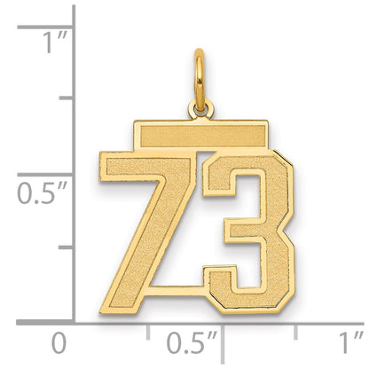 14K Yellow Gold Medium Satin Number 73 Charm