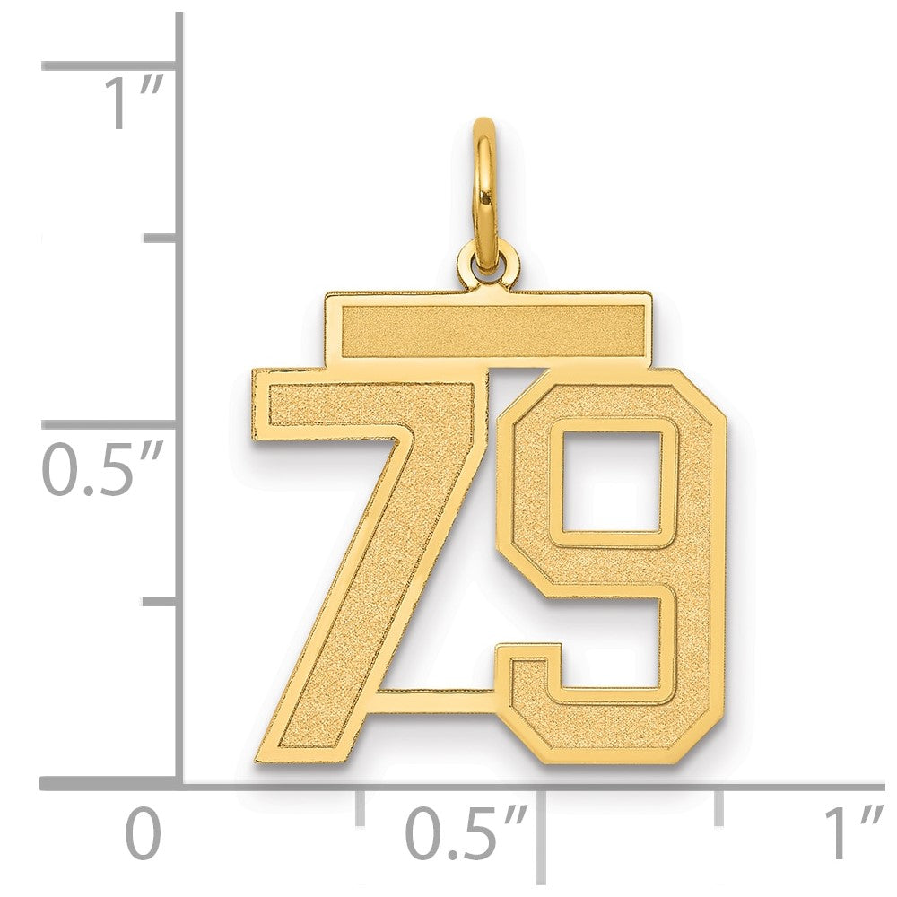14K Yellow Gold Medium Satin Number 79 Charm