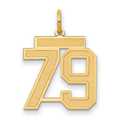 14K Yellow Gold Medium Satin Number 79 Charm
