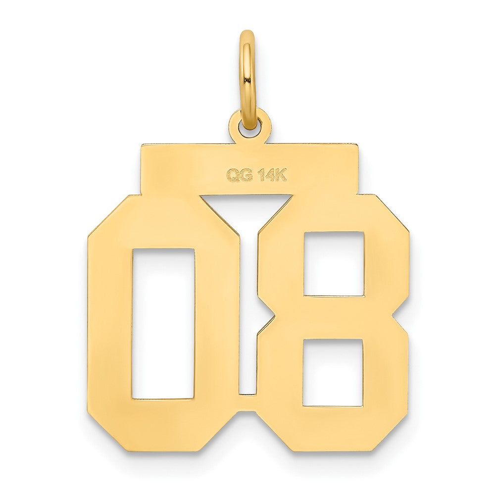 14K Yellow Gold Medium Satin Number 80 Charm