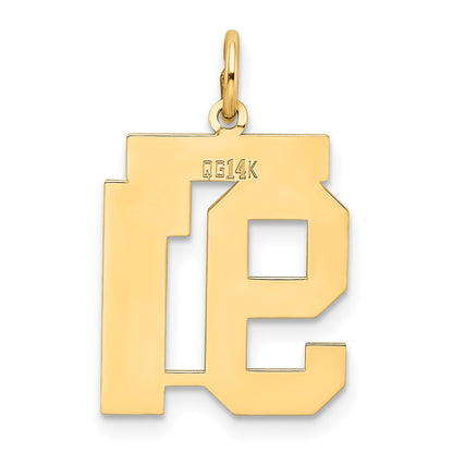 14K Yellow Gold Medium Satin Number 91 Charm