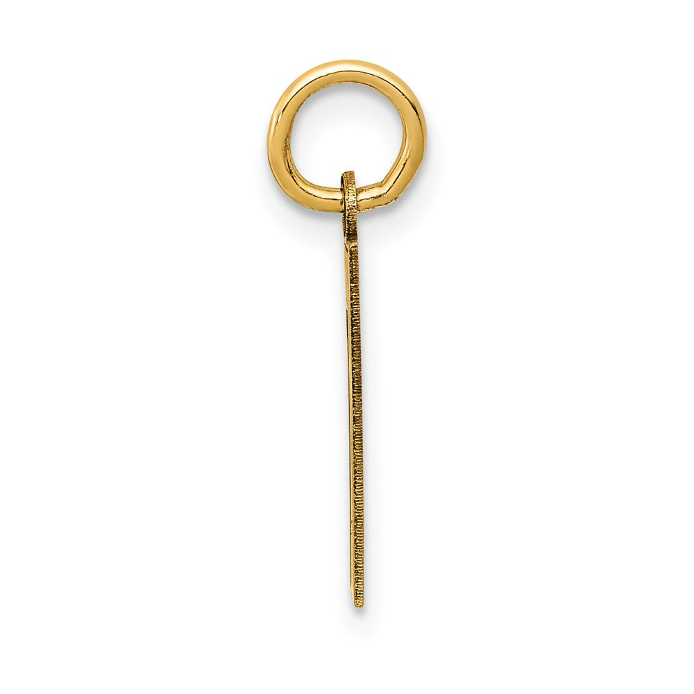 14k Yellow Gold 14k Small Satin Number 1 Charm