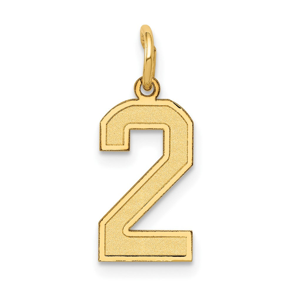 14k Yellow Gold 14k Small Satin Number 2 Charm