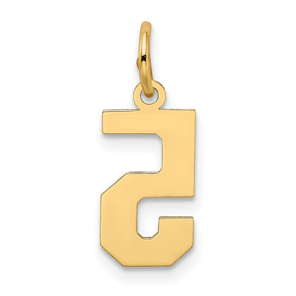 14k Yellow Gold 14k Small Satin Number 5 Charm